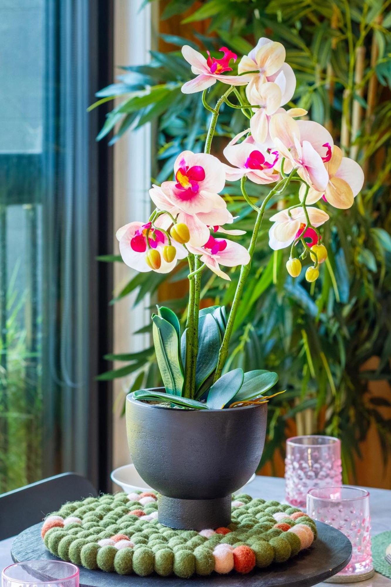 Cozy 1-Bed Apartment With Park Views, Sleeps 4 Christchurch Esterno foto